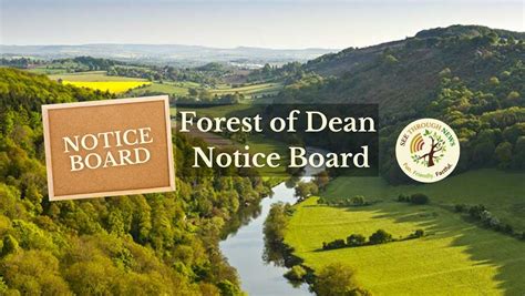 dean facebook|forest of dean notice board.